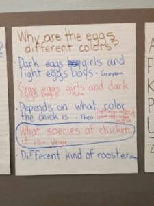 Kinder Fieldwork May 2019