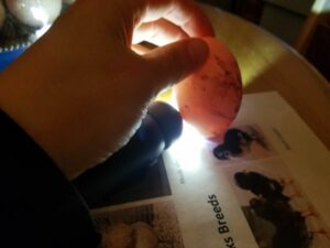 Kinder Fieldwork May 2019