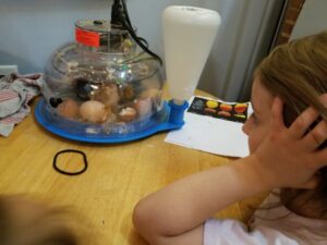 Kinder Fieldwork May 2019
