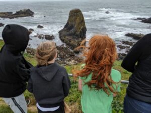4-5 Fieldwork May 2019