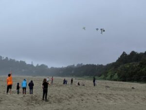 4-5 Fieldwork May 2019