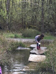 Kinder Fieldwork May 2019
