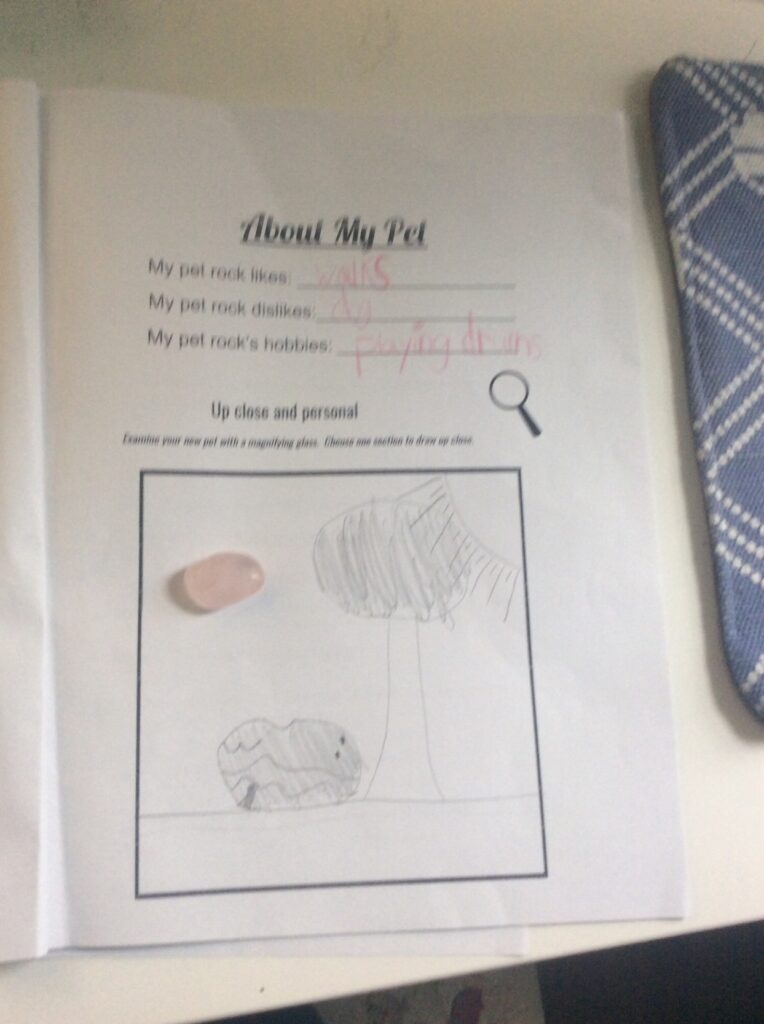 3rd grade FieldWork