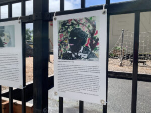 Teaching Fence, Black History = American History = Our History