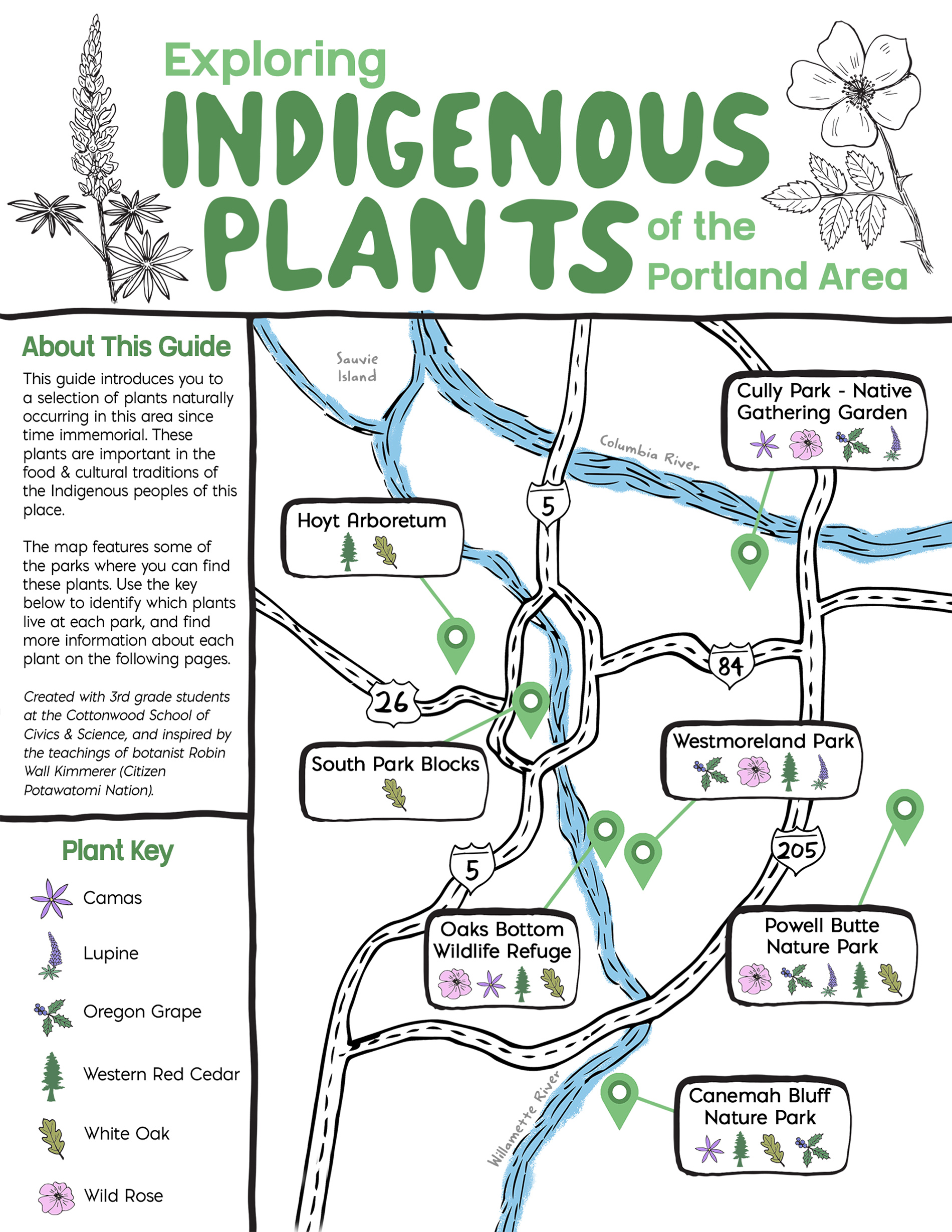 Portland Native Trees Exploring Indigenous Plants of the Portland Area